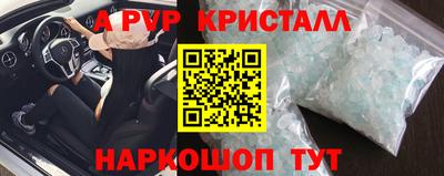 гашик Новозыбков